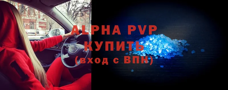 Alfa_PVP СК Кисловодск